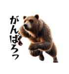 クマ×ベースボール！3Dリアル（個別スタンプ：37）