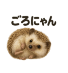 引きこもりハリネズミの日常スタンプ（個別スタンプ：6）