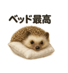 引きこもりハリネズミの日常スタンプ（個別スタンプ：7）