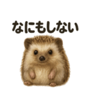 引きこもりハリネズミの日常スタンプ（個別スタンプ：8）