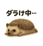 引きこもりハリネズミの日常スタンプ（個別スタンプ：14）