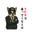 フレンチブルのタクシードライバー1（個別スタンプ：23）