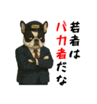 フレンチブルのタクシードライバー1（個別スタンプ：27）