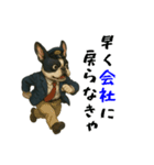 フレンチブルのタクシードライバー1（個別スタンプ：31）