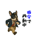 フレンチブルのタクシードライバー1（個別スタンプ：33）