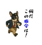 フレンチブルのタクシードライバー1（個別スタンプ：34）