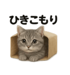 引きこもりマンチカンの日常スタンプ（個別スタンプ：4）