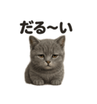 引きこもりマンチカンの日常スタンプ（個別スタンプ：11）