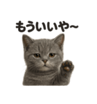 引きこもりマンチカンの日常スタンプ（個別スタンプ：12）