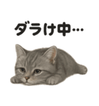 引きこもりマンチカンの日常スタンプ（個別スタンプ：14）