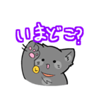 灰色ねこ、ルナ（個別スタンプ：20）