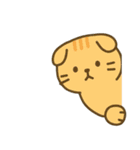画面で遊んでいる猫（個別スタンプ：17）