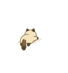 画面で遊んでいる猫（個別スタンプ：22）
