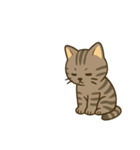 画面で遊んでいる猫（個別スタンプ：24）