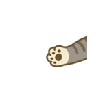画面で遊んでいる猫（個別スタンプ：30）
