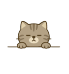 画面で遊んでいる猫（個別スタンプ：34）