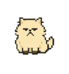 画面で遊んでいる猫（個別スタンプ：40）