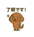 わんこパレード！人気犬種スタンプ（個別スタンプ：8）