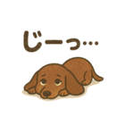 わんこパレード！人気犬種スタンプ（個別スタンプ：9）