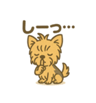 わんこパレード！人気犬種スタンプ（個別スタンプ：15）