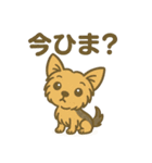 わんこパレード！人気犬種スタンプ（個別スタンプ：16）
