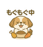 わんこパレード！人気犬種スタンプ（個別スタンプ：17）