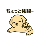 わんこパレード！人気犬種スタンプ（個別スタンプ：23）