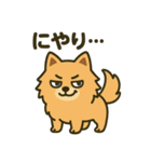 わんこパレード！人気犬種スタンプ（個別スタンプ：24）