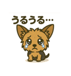 わんこパレード！人気犬種スタンプ（個別スタンプ：26）