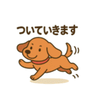 わんこパレード！人気犬種スタンプ（個別スタンプ：31）