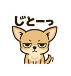 わんこパレード！人気犬種スタンプ（個別スタンプ：32）
