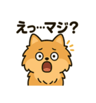 わんこパレード！人気犬種スタンプ（個別スタンプ：33）