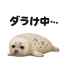 引きこもりワモンアザラシの日常スタンプ（個別スタンプ：15）