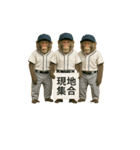 面白おサルさんの吹き出しスタンプ（個別スタンプ：21）