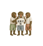 面白おサルさんの吹き出しスタンプ（個別スタンプ：39）