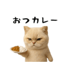 面白にゃんこ(ダジャレ)（個別スタンプ：2）