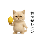 面白にゃんこ(ダジャレ)（個別スタンプ：4）