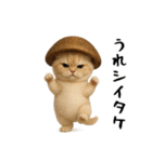 面白にゃんこ(ダジャレ)（個別スタンプ：10）