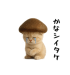 面白にゃんこ(ダジャレ)（個別スタンプ：11）