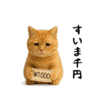 面白にゃんこ(ダジャレ)（個別スタンプ：12）
