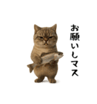 面白にゃんこ(ダジャレ)（個別スタンプ：13）