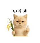 面白にゃんこ(ダジャレ)（個別スタンプ：15）