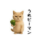 面白にゃんこ(ダジャレ)（個別スタンプ：16）