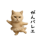 面白にゃんこ(ダジャレ)（個別スタンプ：23）