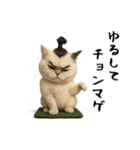面白にゃんこ(ダジャレ)（個別スタンプ：26）