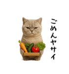 面白にゃんこ(ダジャレ)（個別スタンプ：27）