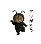 面白にゃんこ(ダジャレ)（個別スタンプ：35）