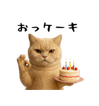 面白にゃんこ(ダジャレ)（個別スタンプ：37）
