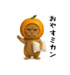 面白にゃんこ(ダジャレ)（個別スタンプ：40）