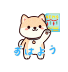 柴犬ベビーの株探検記 (にほんご) Ver6（個別スタンプ：1）